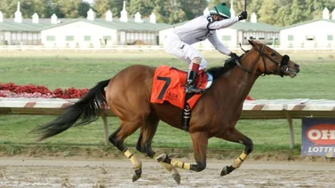 Jockey venezolano va por 4 stakes en este hipódromo de Estados Unidos