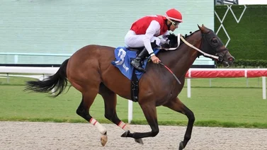 Leonel Reyes Ramos con gran jornada el fin de semana en Gulfstream Park