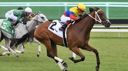 Emisael Jaramillo el más destacado del fin de semana en Gulfstream Park
