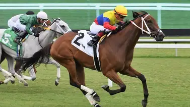 Emisael Jaramillo el más destacado del fin de semana en Gulfstream Park Emisael Jaramillo el más destacado del fin de semana en Gulfstream Park
