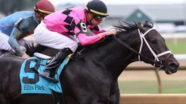 Potro invicto medio hermano de Life is Good va en busca de su primer stakes