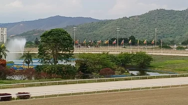 Debuta potra nieta de caballo ganador del Kentucky Derby