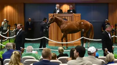 Más de $35.000.000 pagaron en el primer día de subastas de Fasit Tiptong Más de $35.000.000 pagaron en el primer día de subastas de Fasit Tiptong