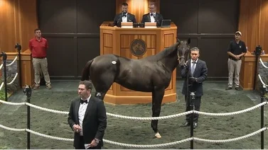 Stud de Bob Baffert compra potro que costó $3.400.000 en las subastas de este lunes en Estados Unidos