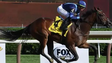 Potranca de apenas $3.500 ya es ganadora clásica y líder de su sexo en la generación Potranca de apenas $3.500 ya es ganadora clásica y líder de su sexo en la generación