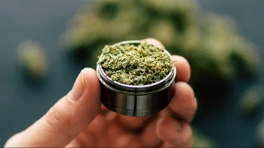 Marihuana y fentanilo