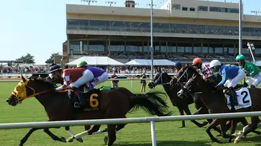 Suspendidas las carreras de caballos en este hipódromo de Estados Unidos Suspendidas las carreras de caballos en este hipódromo de Estados Unidos