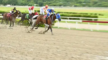 Reaparece ejemplar que está invicto en el 2024 luego de 42 días en La Rinconada Reaparece ejemplar que está invicto en el 2024 luego de 42 días en La Rinconada