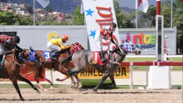 Primera retirada de la reunión 30 era una de las primeras candidatas en su carrera Primera retirada de la reunión 30 era una de las primeras candidatas en su carrera