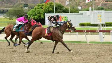 Dos nuevas retiradas en la reunión 30 de La Rinconada Dos nuevas retiradas en la reunión 30 de La Rinconada
