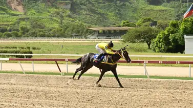 Mira como ajusta uno de los fijos de las no válidas en La Rinconada Mira como ajusta uno de los fijos de las no válidas en La Rinconada