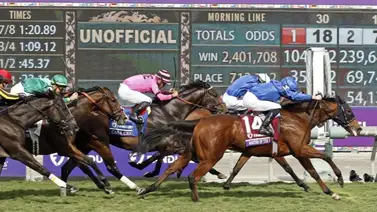 Retirado el gran favorito en stakes Grado 1 de Saratoga por esta razón Retirado el gran favorito en stakes Grado 1 de Saratoga por esta razón