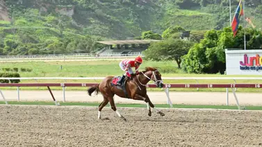 Así como ajustó esta yegua puede sorprender a una de las fijas de la reunión 30 Así como ajustó esta yegua puede sorprender a una de las fijas de la reunión 30