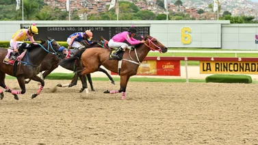 Ejemplar que de ganar abonaría excelente dividendo ajusta muy bien