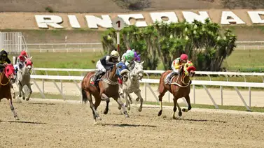 Yegua que en su última era gran favorita, pero ahora no está dentro de las cotizadas, mejora en sus ajustes Yegua que en su última era gran favorita, pero ahora no está dentro de las cotizadas, mejora en sus ajustes