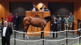 Hijos de Gun Runner entre los más caros en las subastas de Saratoga