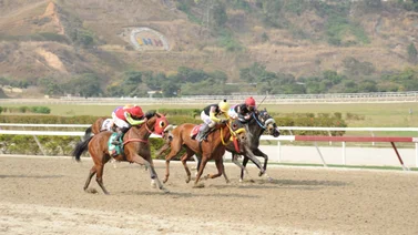 Así ajustó este caballo que puede ser el “gallo tapao” del 5y6 nacional en La Rinconada