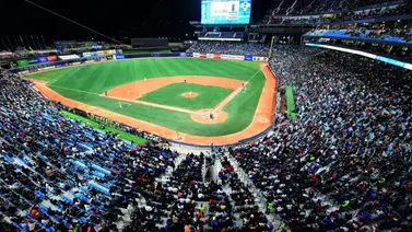 Tigres del Licey pone en duda su participación en el Hexagonal Monumental (+Video) Tigres del Licey pone en duda su participación en el Hexagonal Monumental (+Video)