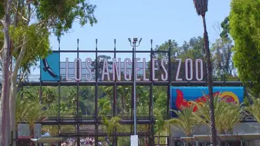 Actividades programadas del 8 al 14 de agosto en Los Ángeles (+Detalles) Actividades programadas del 8 al 14 de agosto en Los Ángeles (+Detalles)