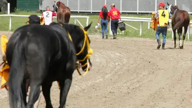 Van 5 retiros en la reunión 30 de La Rinconada Van 5 retiros en la reunión 30 de La Rinconada