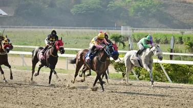 Así le fue en el ajuste al dato más corrido del hipódromo La Rinconada