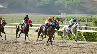 Así le fue en el ajuste al dato más corrido del hipódromo La Rinconada Así le fue en el ajuste al dato más corrido del hipódromo La Rinconada