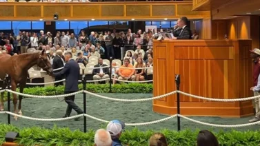 Más de $80.000.000 en dos días de subastas de Fasig Tiptong en Saratoga