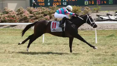 Charle Oliveros es el más destacado del jueves en Estados Unidos Charle Oliveros es el más destacado del jueves en Estados Unidos