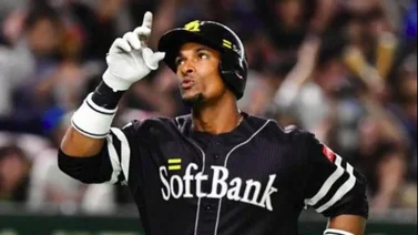 LVBP: Tiburones puede tener un nuevo refuerzo para la temporada 2024/2025