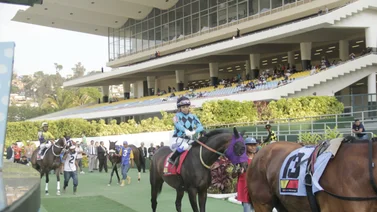 Favoritos de la cátedra para el 5y6 Nacional de la reunión N°30 en el hipódromo La Rinconada