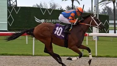 Emisael Jaramillo a punto de alcanzar esta cifra de victorias por noveno año seguido Emisael Jaramillo a punto de alcanzar esta cifra de victorias por noveno año seguido