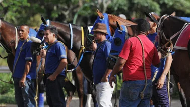 Datos de última hora para el Hipódromo Internacional La Rinconada 11-8-2024