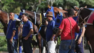 Datos de última hora para el Hipódromo Internacional La Rinconada 11-8-2024 Datos de última hora para el Hipódromo Internacional La Rinconada 11-8-2024