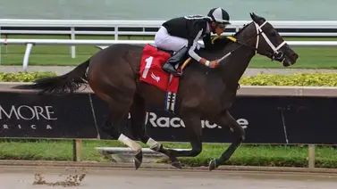 Jockey boricua triplica victorias con el mismo trainer y llega a 100 triunfos en el meeting Jockey boricua triplica victorias con el mismo trainer y llega a 100 triunfos en el meeting