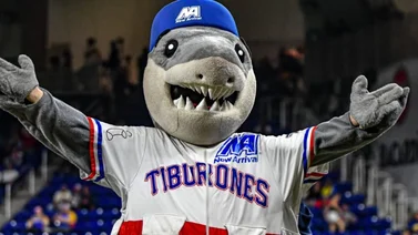 LVBP: Tiburones de La Guaira revela información sobre sus Abonos 