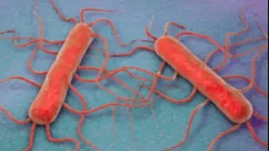 EE.UU: alerta de histeria por el uso de estos productos ¡Cuida tu salud! EE.UU: alerta de histeria por el uso de estos productos ¡Cuida tu salud!