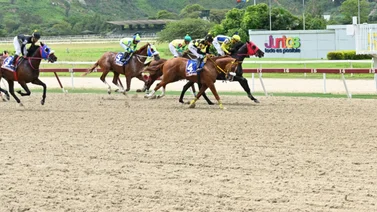 Retirada una de las grandes favoritas de las no válidas en La Rinconada