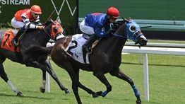 Venezolanos se adueñan de la primera carrera del sábado en Gulfstream Park