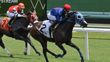 Venezolanos se adueñan de la primera carrera del sábado en Gulfstream Park