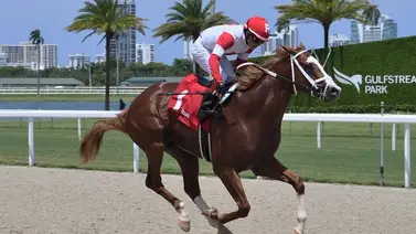 Emisael Jaramillo logra hazaña por noveno año de manera consecutiva Emisael Jaramillo logra hazaña por noveno año de manera consecutiva