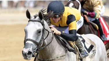 Hijo de Tapit que costó 1.200.000 gana de forma cómoda este sábado en Saratoga