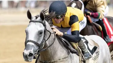 Hijo de Tapit que costó 1.200.000 gana de forma cómoda este sábado en Saratoga Hijo de Tapit que costó 1.200.000 gana de forma cómoda este sábado en Saratoga