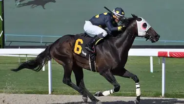 Jockey venezolano gana y paga el mejor dividendo del sábado en Gulfstream Park Jockey venezolano gana y paga el mejor dividendo del sábado en Gulfstream Park