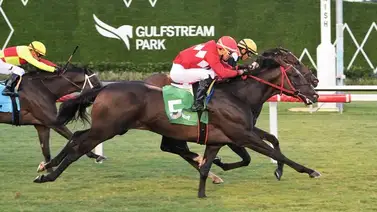 Leonel Reyes Ramos cerró con una sorpresa la jornada del sábado en Gulfstream Park Leonel Reyes Ramos cerró con una sorpresa la jornada del sábado en Gulfstream Park