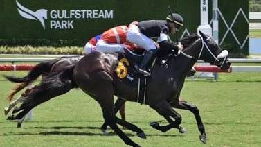 Edgar “Tendón” Pérez el más destacado de los venezolanos el domingo en Gulfstream Park