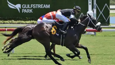Edgar “Tendón” Pérez el más destacado de los venezolanos el domingo en Gulfstream Park Edgar “Tendón” Pérez el más destacado de los venezolanos el domingo en Gulfstream Park