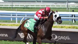 Jockey panameño gana seis carreras en dos días en Gulfstream Park