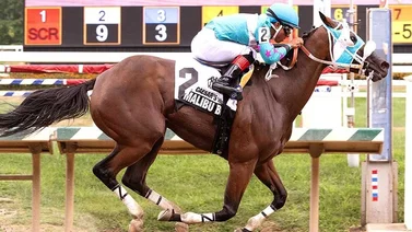 Jockey venezolano arrasa con 5 victorias de 6 montas en una misma reunión