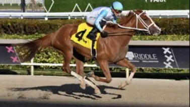 Yunta de venezolanos va por $600.000 en el stakes más importante de esta semana en Saratoga Yunta de venezolanos va por $600.000 en el stakes más importante de esta semana en Saratoga