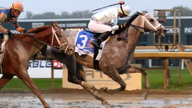El tordillo Saudi Crown reaparece con victoria en stakes y esta parece su mejor opción El tordillo Saudi Crown reaparece con victoria en stakes y esta parece su mejor opción